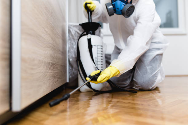 Best Affordable Pest Control Services  in Wilder, KY