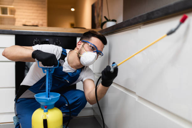 Best Flea Control Services  in Wilder, KY